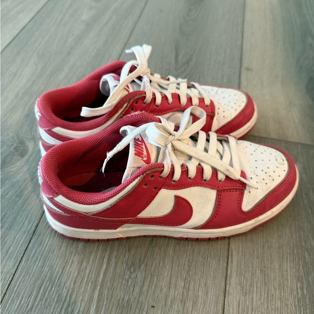 Archeo Pink Dunks
